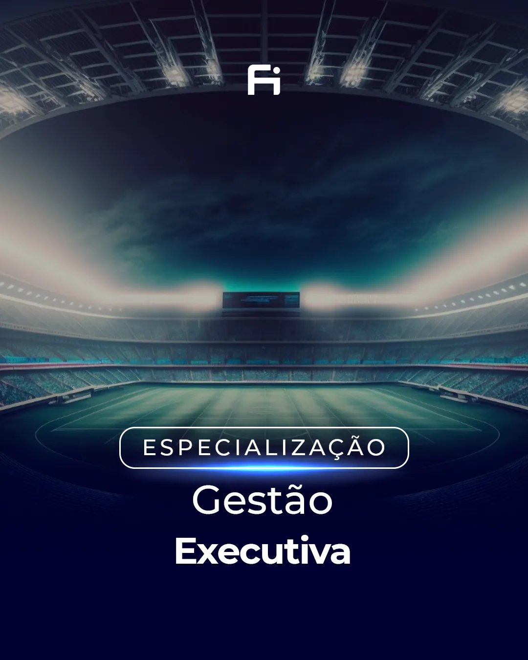 Gestão Executiva