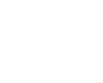 Passaporte FI
